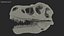 tyrannosaurus rex skul skull 3D