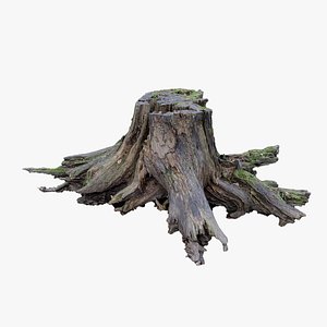 3D scanned tree stump