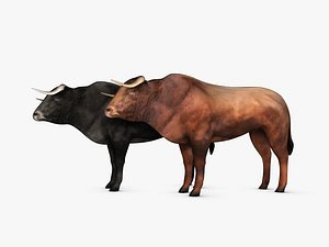3d bull s s