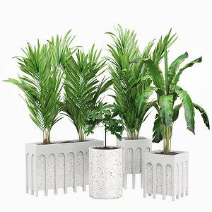 Flower Pack 167 3D model
