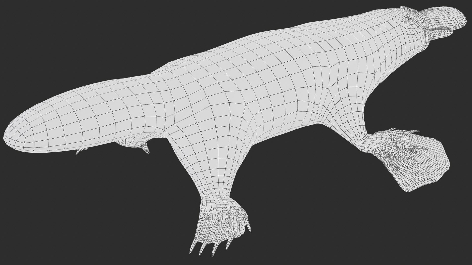 3D Platypus 8K PBR model https://p.turbosquid.com/ts-thumb/9R/bwmuFk/19/screenshot020/png/1762284617/1920x1080/fit_q87/96e4fe9d3b1c784df2a272461bbc9fe98a8f747d/screenshot020.jpg