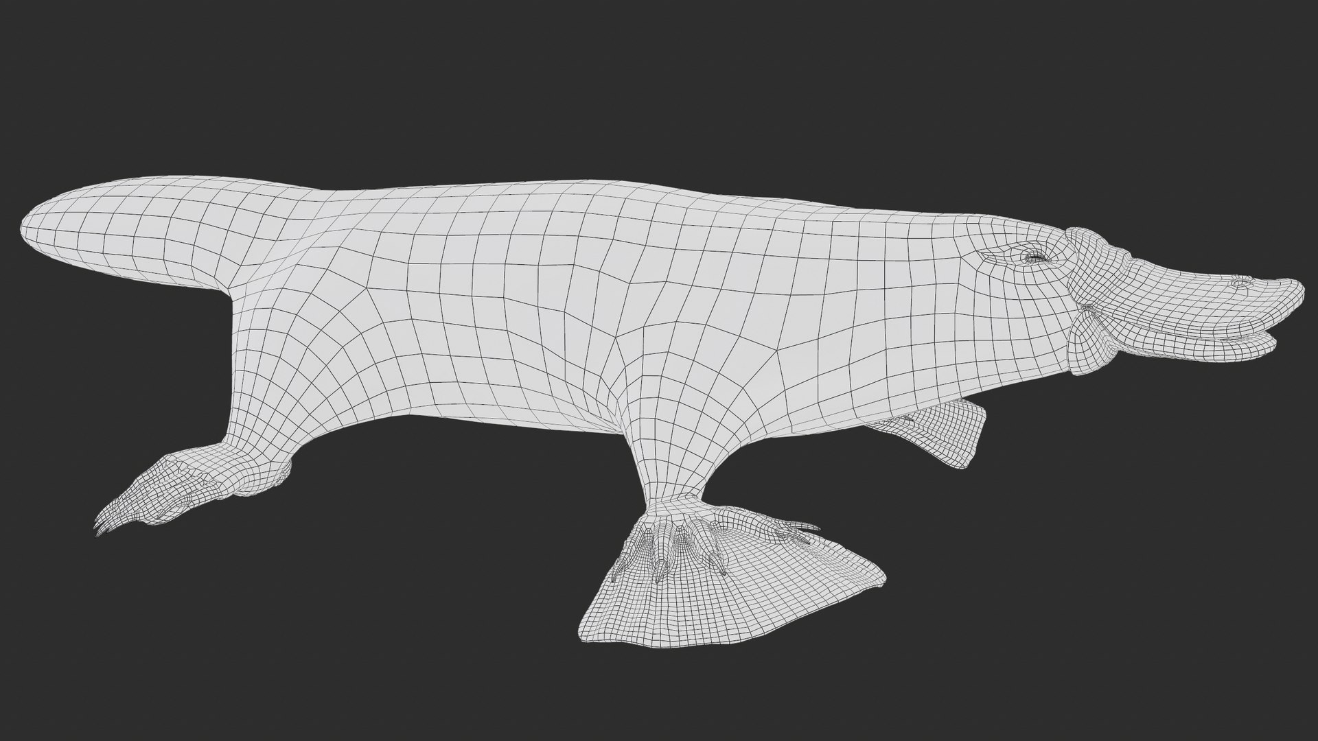 3D Platypus 8K PBR model https://p.turbosquid.com/ts-thumb/9R/bwmuFk/6I/screenshot018/png/1762284616/1920x1080/fit_q87/0c9590261694247090908b7b88b8410fae8cc965/screenshot018.jpg