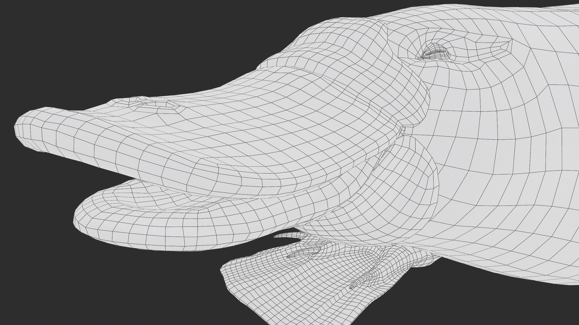 3D Platypus 8K PBR model https://p.turbosquid.com/ts-thumb/9R/bwmuFk/I0/screenshot026/png/1762284620/1920x1080/fit_q87/efdb0feb637e96c6ac998524c36a37ed0ab73944/screenshot026.jpg