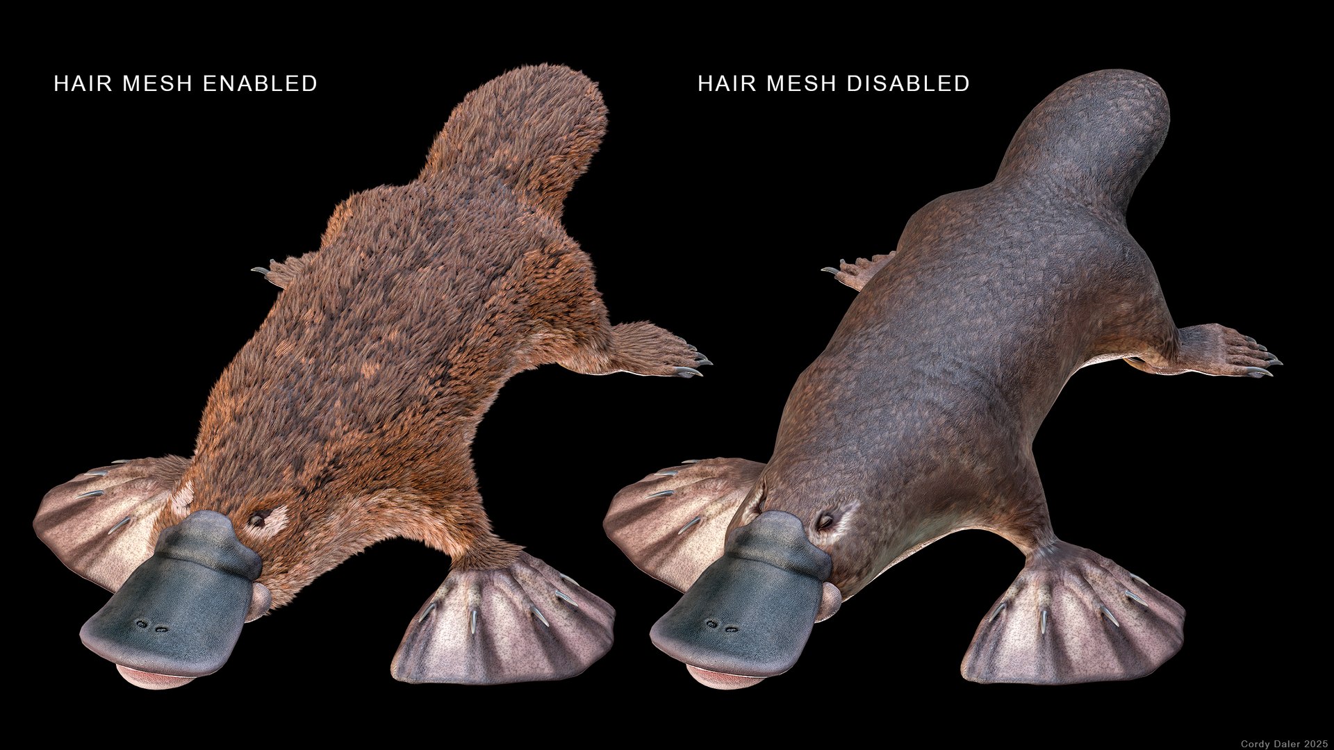 3D Platypus 8K PBR model https://p.turbosquid.com/ts-thumb/9R/bwmuFk/WV/r_viewport_028r/png/1762284018/1920x1080/fit_q87/27ebc2b500dffb6c1fc544971aa1ea95db272789/r_viewport_028r.jpg