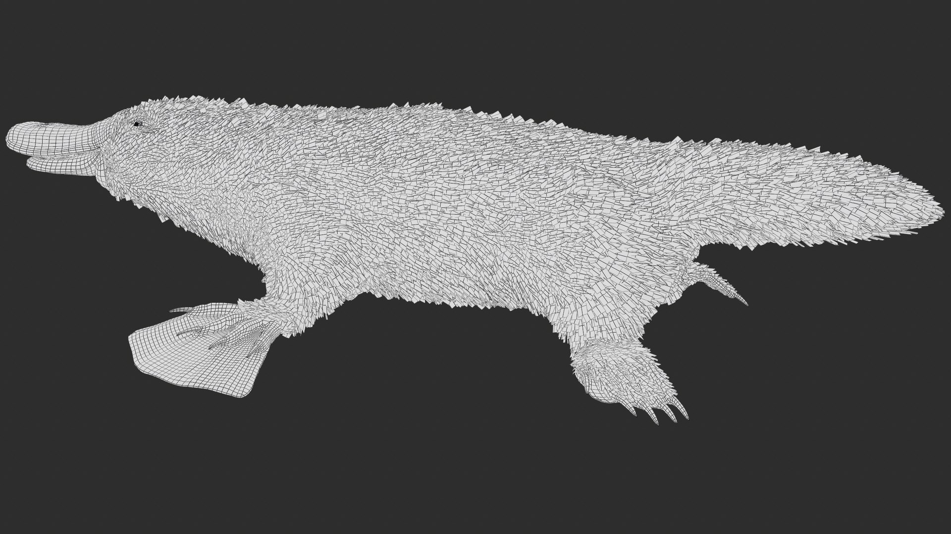 3D Platypus 8K PBR model https://p.turbosquid.com/ts-thumb/9R/bwmuFk/YJ/screenshot010/png/1762284612/1920x1080/fit_q87/b79eee758318862f5246dfb773eb7abda1badbf3/screenshot010.jpg