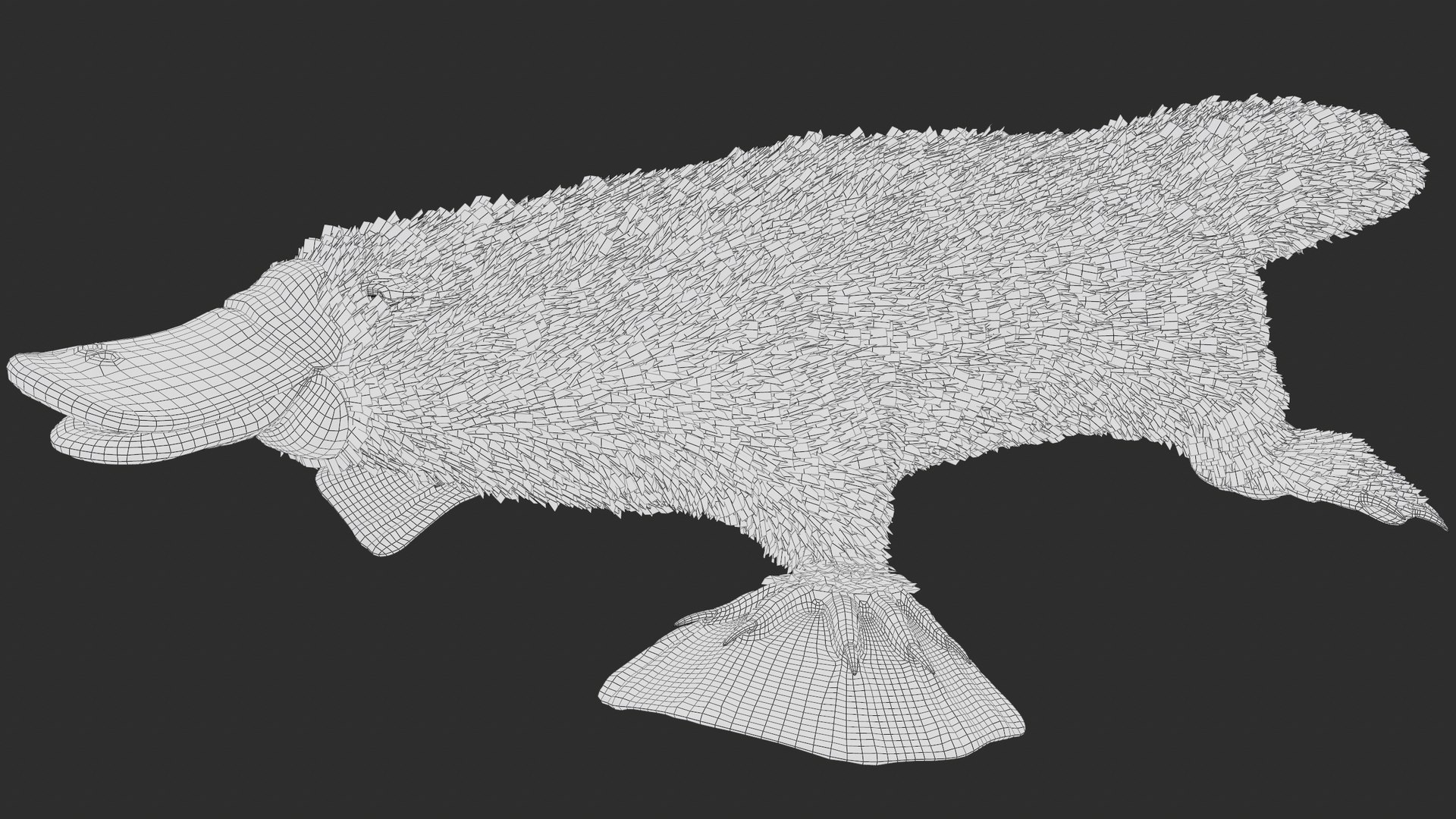 3D Platypus 8K PBR model https://p.turbosquid.com/ts-thumb/9R/bwmuFk/hn/screenshot012/png/1762284613/1920x1080/fit_q87/be024c20223ca6c5b1492d984067593b24544360/screenshot012.jpg