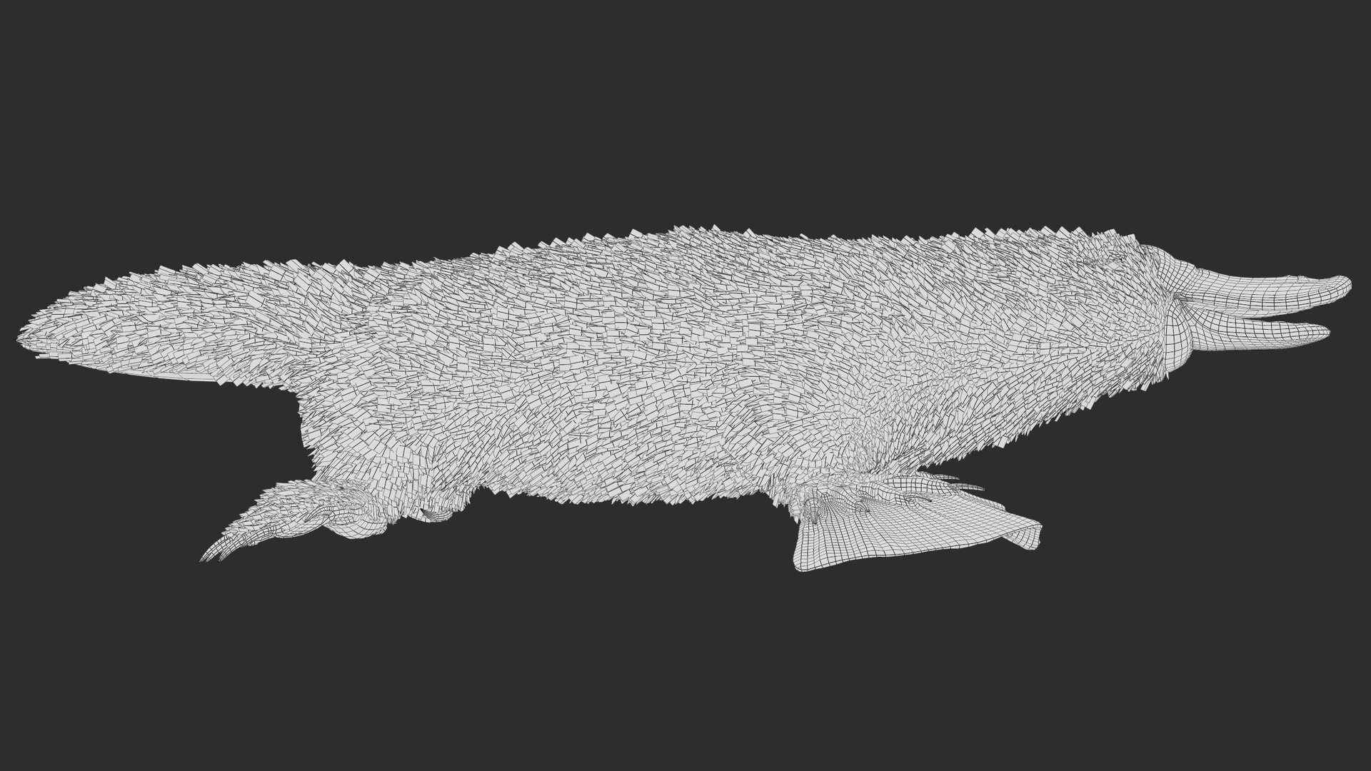 3D Platypus 8K PBR model https://p.turbosquid.com/ts-thumb/9R/bwmuFk/m4/screenshot005/png/1762284609/1920x1080/fit_q87/473db4b3b054f0126bf6c6957d463407333edc93/screenshot005.jpg