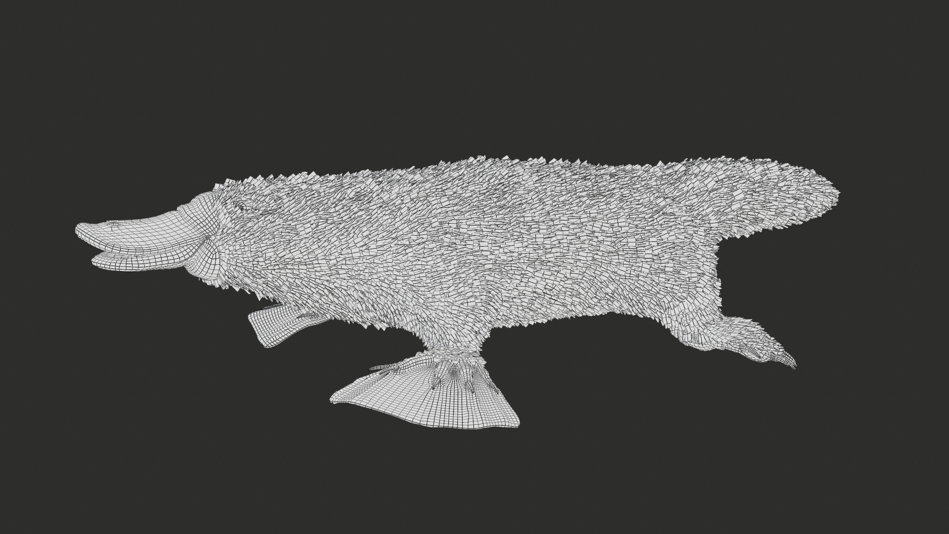 3D Platypus 8K PBR model https://p.turbosquid.com/ts-thumb/9R/bwmuFk/v3/00/png/1762285479/1920x1080/turn_fit_q99/4c6cd898ab8308fd9707c5c0a113d0813ea18bf3/00-1.jpg