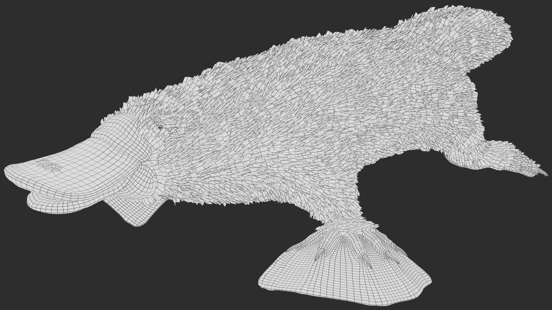 3D Platypus 8K PBR model https://p.turbosquid.com/ts-thumb/9R/bwmuFk/wD/screenshot000/png/1762284607/1920x1080/fit_q87/df2dc134519369d21b5ca85e899786c50fa97a58/screenshot000.jpg