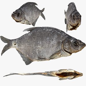 3D Bream dry fish
