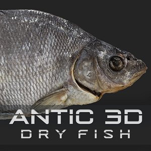 Bream dry fish