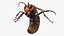 3D Northern Giant Hornet Fur Attack Pose
