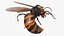 3D Northern Giant Hornet Fur Attack Pose