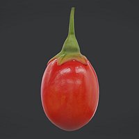 Fruit Goji Low Poly