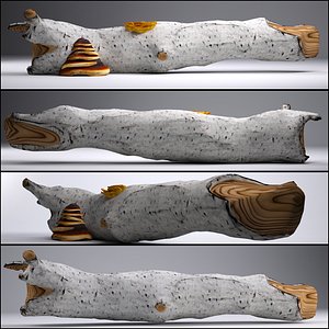 Aspen tree trunk - Game asset
