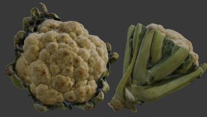 Fresh Cauliflower Scan 3D