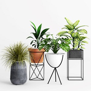 3D model eric planter plant