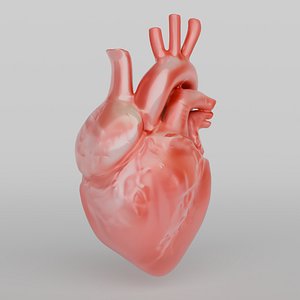 Heart 3D