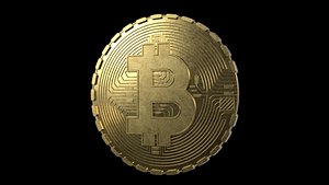 Bitcoin coin model