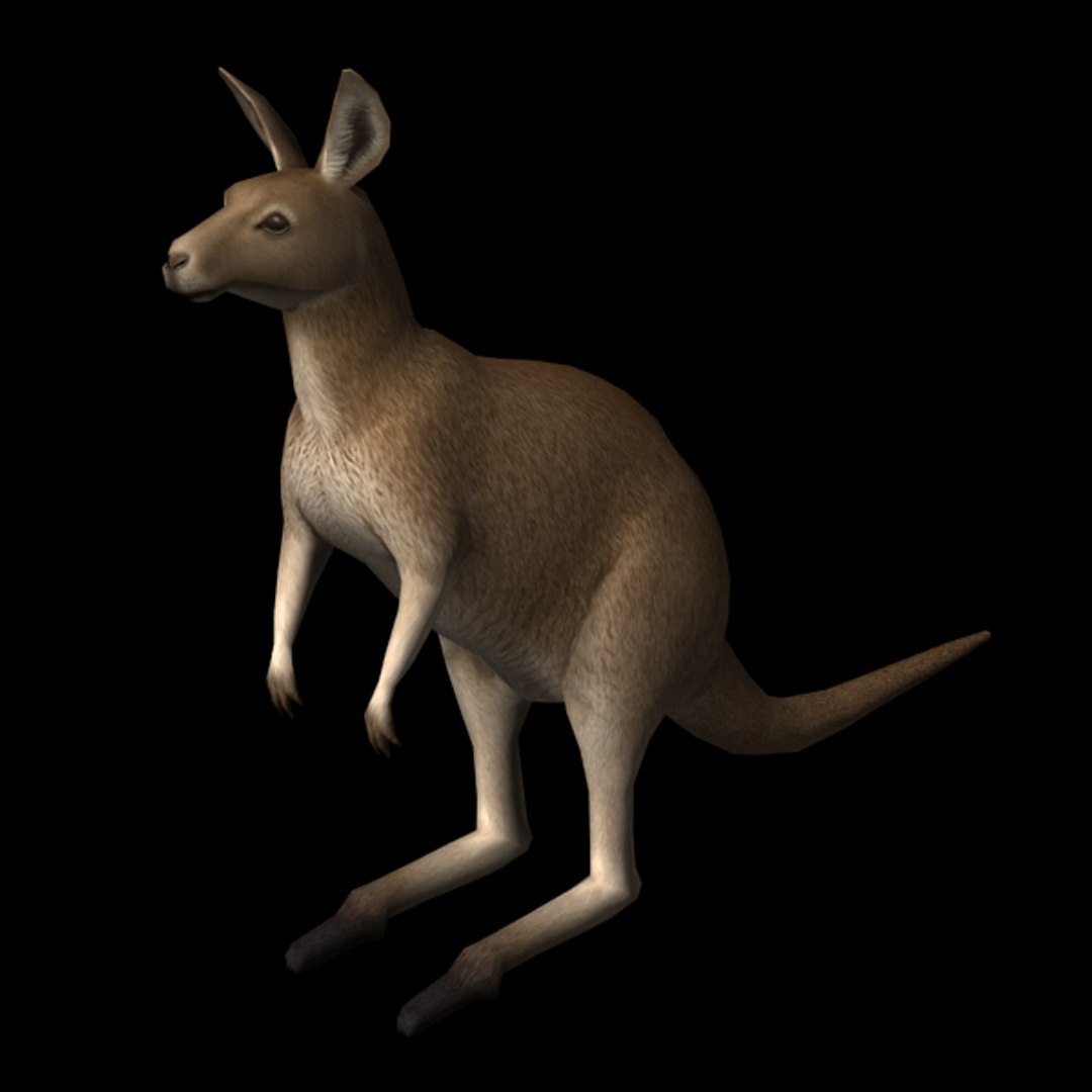 kangaroo edge loop 3d model https://p.turbosquid.com/ts-thumb/9S/vTfEhW/bseVeaqS/kangaroo01/jpg/1375794046/1920x1080/fit_q87/9dd0b2e3bb972bc05b2d606a457eabddd6b6ad1d/kangaroo01.jpg