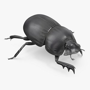 3D Manure Roller Crawling