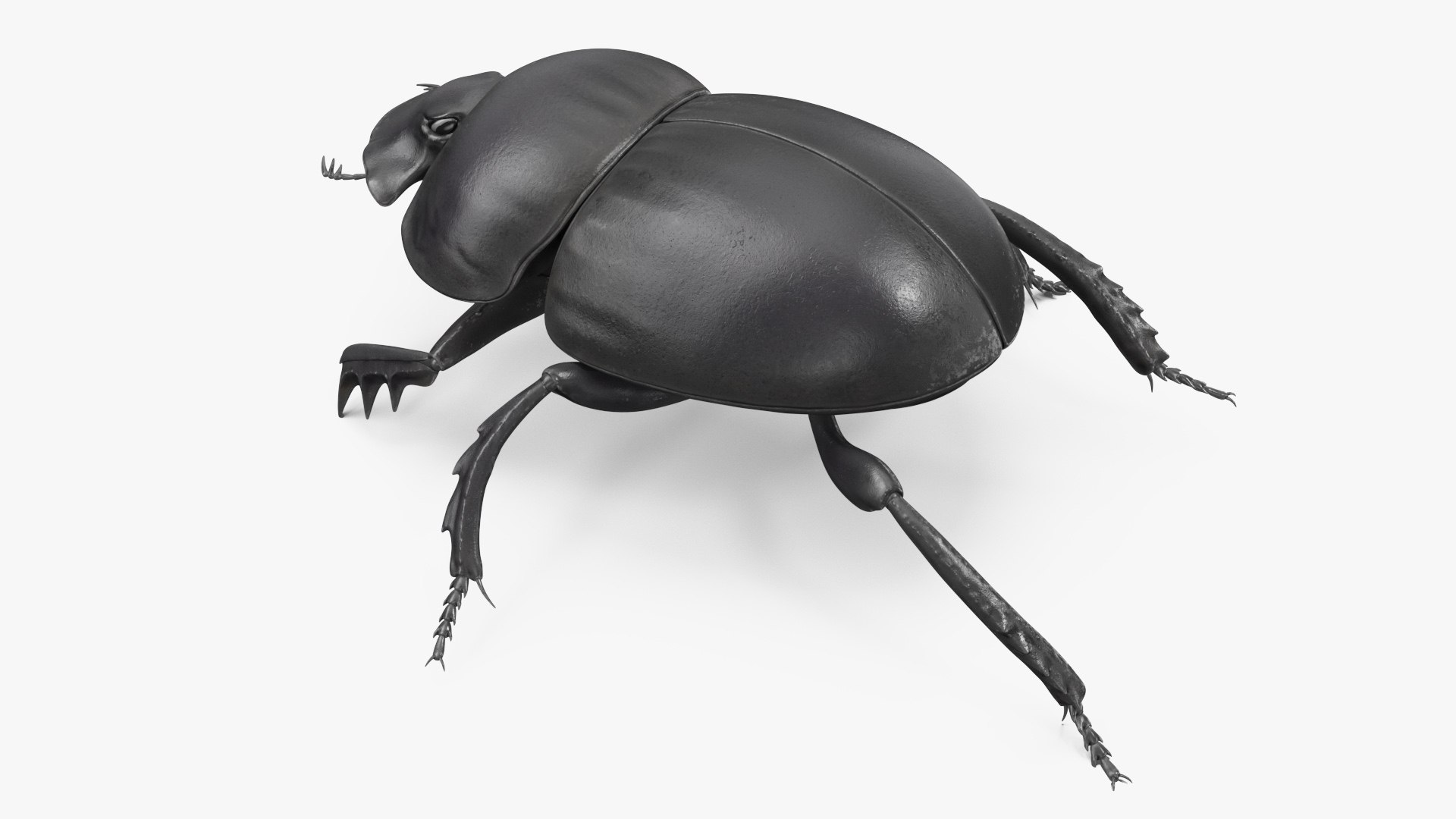 3D Manure Roller Crawling https://p.turbosquid.com/ts-thumb/9S/yKT6EO/gt/manurerollercrawling3dsmodel007/jpg/1729931670/1920x1080/fit_q87/3f5f841777ed3d82e83fc11e4c5313116d05f736/manurerollercrawling3dsmodel007.jpg