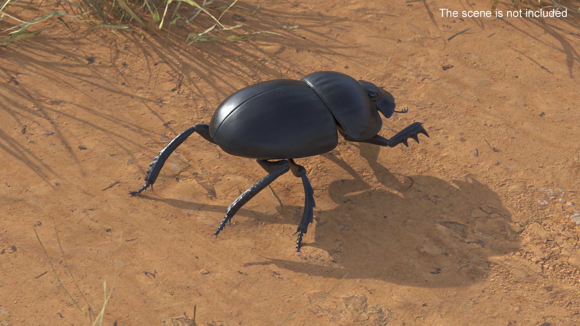 3D Manure Roller Crawling https://p.turbosquid.com/ts-thumb/9S/yKT6EO/hD/manurerollercrawling3dsmodel003/jpg/1729931649/1920x1080/fit_q87/414c420f60119d1f540f226b2a96b00dae1f02a2/manurerollercrawling3dsmodel003.jpg