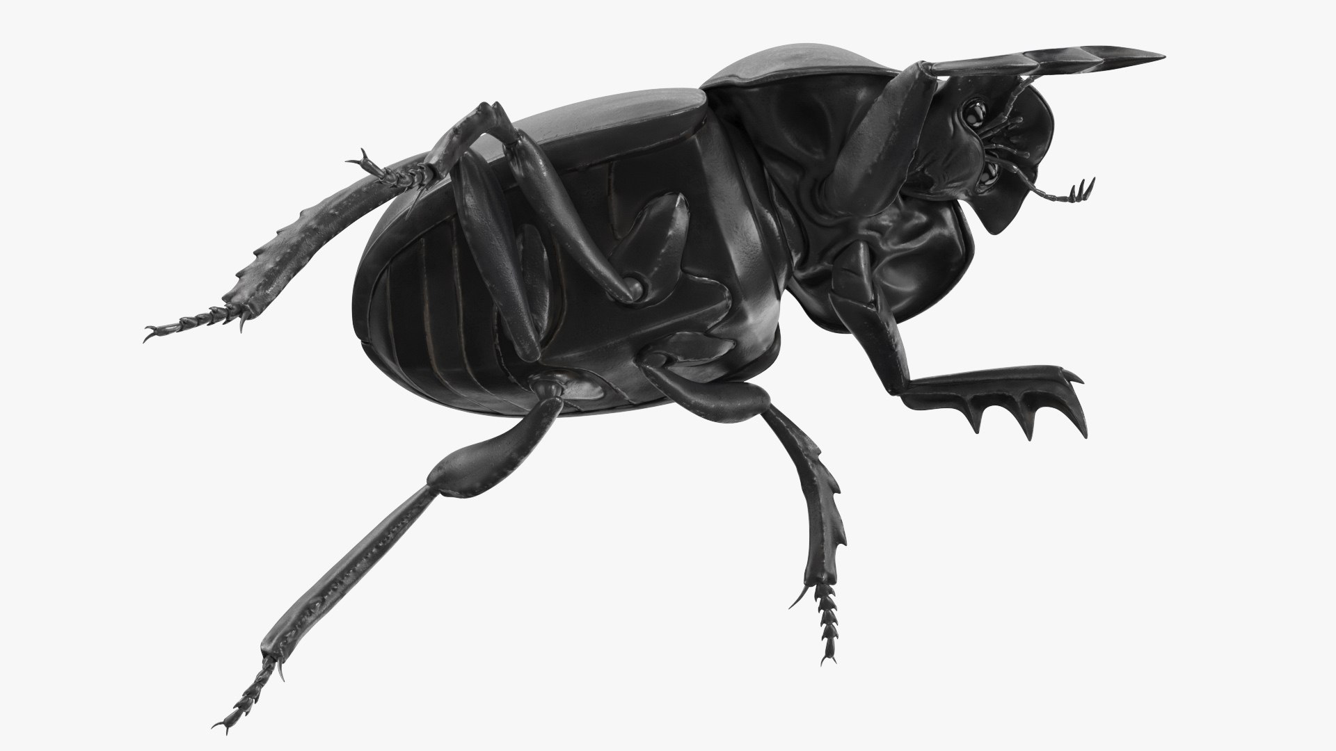 3D Manure Roller Crawling https://p.turbosquid.com/ts-thumb/9S/yKT6EO/qK/manurerollercrawling3dsmodel008/jpg/1729931674/1920x1080/fit_q87/eaedf4e450848e875d7830241222ed80b574322a/manurerollercrawling3dsmodel008.jpg