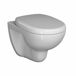 wall hung water closet 3D