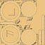 Gold Coin