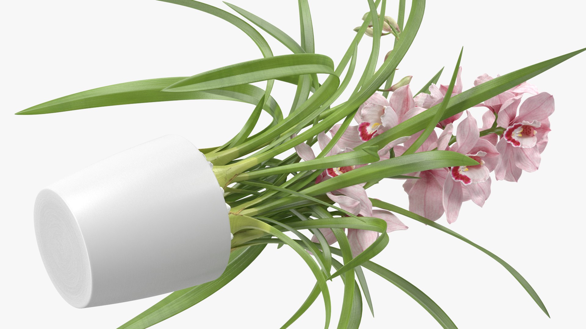 3D Orchid Pot Pink model https://p.turbosquid.com/ts-thumb/9T/P3BOed/6U/orchidpotpinkvray3dmodel011/jpg/1637769729/1920x1080/fit_q87/6f27095bc24394585c272a368ee39eb794c1a854/orchidpotpinkvray3dmodel011.jpg