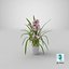 Orchideentopf Rosa