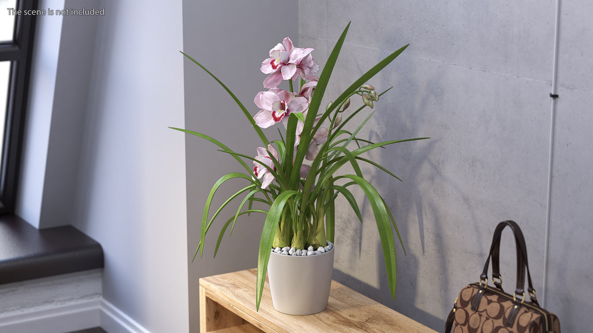 3D Orchid Pot Pink model https://p.turbosquid.com/ts-thumb/9T/P3BOed/FO/orchidpotpinkvray3dmodel003/jpg/1637769708/1920x1080/fit_q87/6c7d403aaf5e5577942e2bab949f7719fea6d3f6/orchidpotpinkvray3dmodel003.jpg