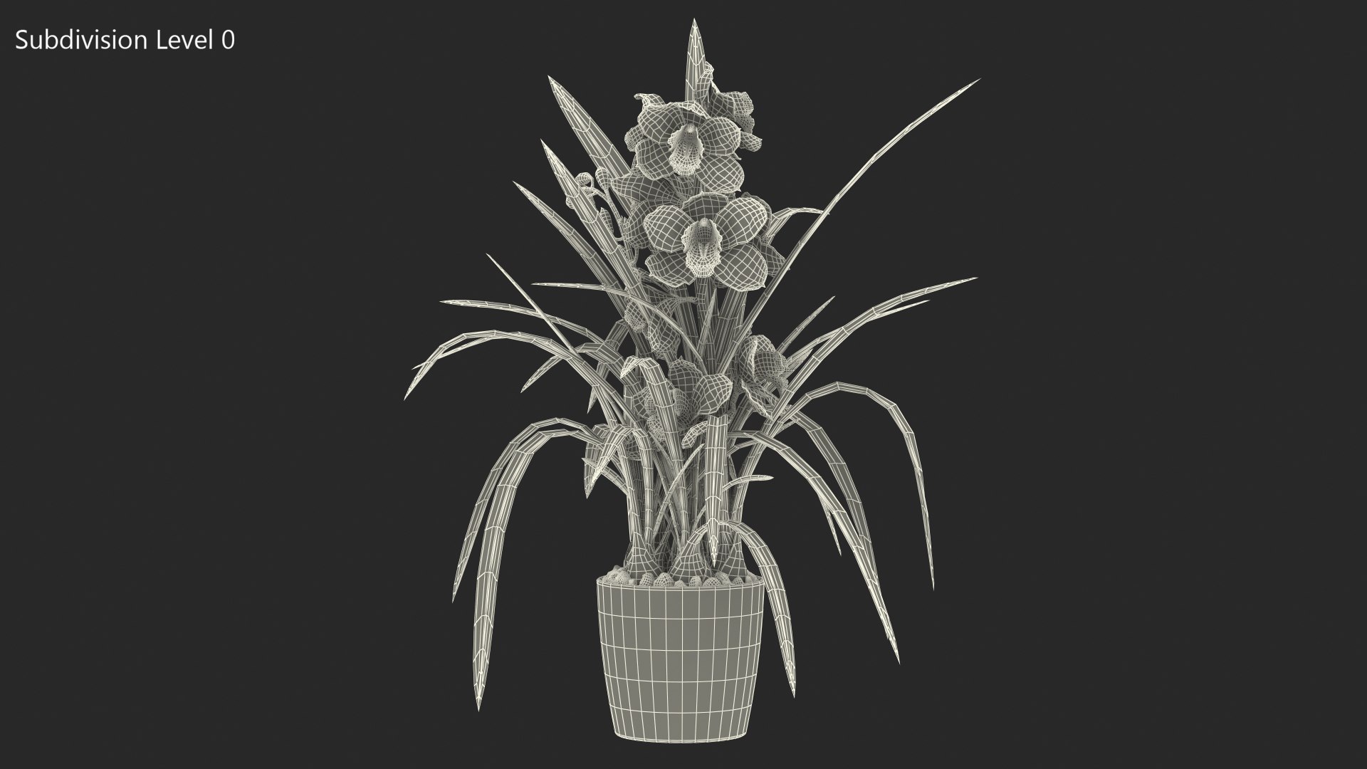 3D Orchid Pot Pink model https://p.turbosquid.com/ts-thumb/9T/P3BOed/L8/orchidpotpinkvray3dmodel021/jpg/1637769758/1920x1080/fit_q87/a60468c4c5eb128d1d4c40150ea8b66fd01edeec/orchidpotpinkvray3dmodel021.jpg
