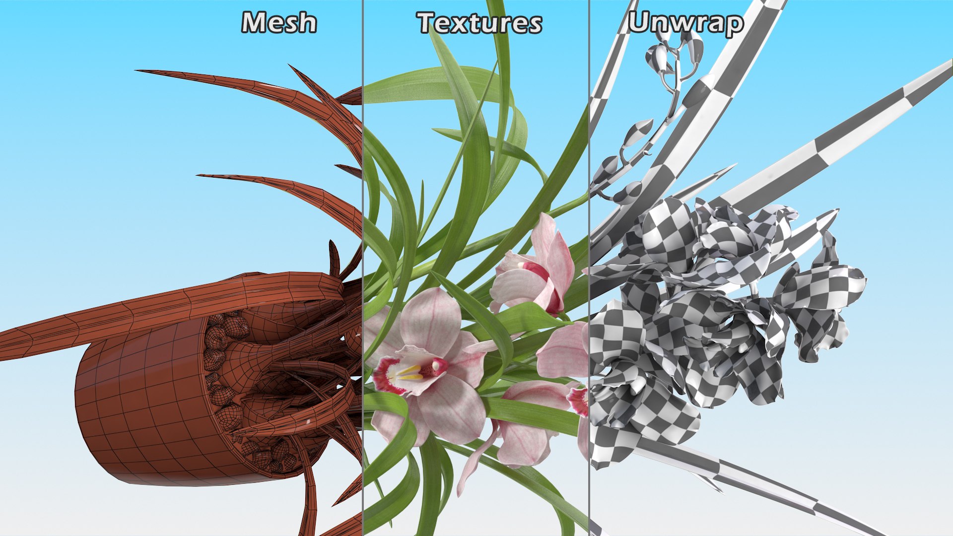 3D Orchid Pot Pink model https://p.turbosquid.com/ts-thumb/9T/P3BOed/N5/orchidpotpinkvray3dmodel020/jpg/1637769755/1920x1080/fit_q87/01361c992f7c2733c67b49c2d23a65c1150e55d0/orchidpotpinkvray3dmodel020.jpg