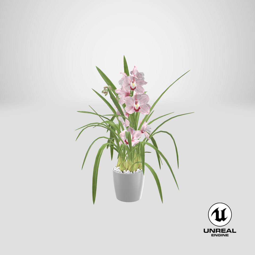 3D Orchid Pot Pink model https://p.turbosquid.com/ts-thumb/9T/P3BOed/oF/stemcell_unreal_render/png/1643877840/1920x1080/fit_q87/40e3b88ec9b087ed43a5407635bb3ec51cc28d83/stemcell_unreal_render.jpg