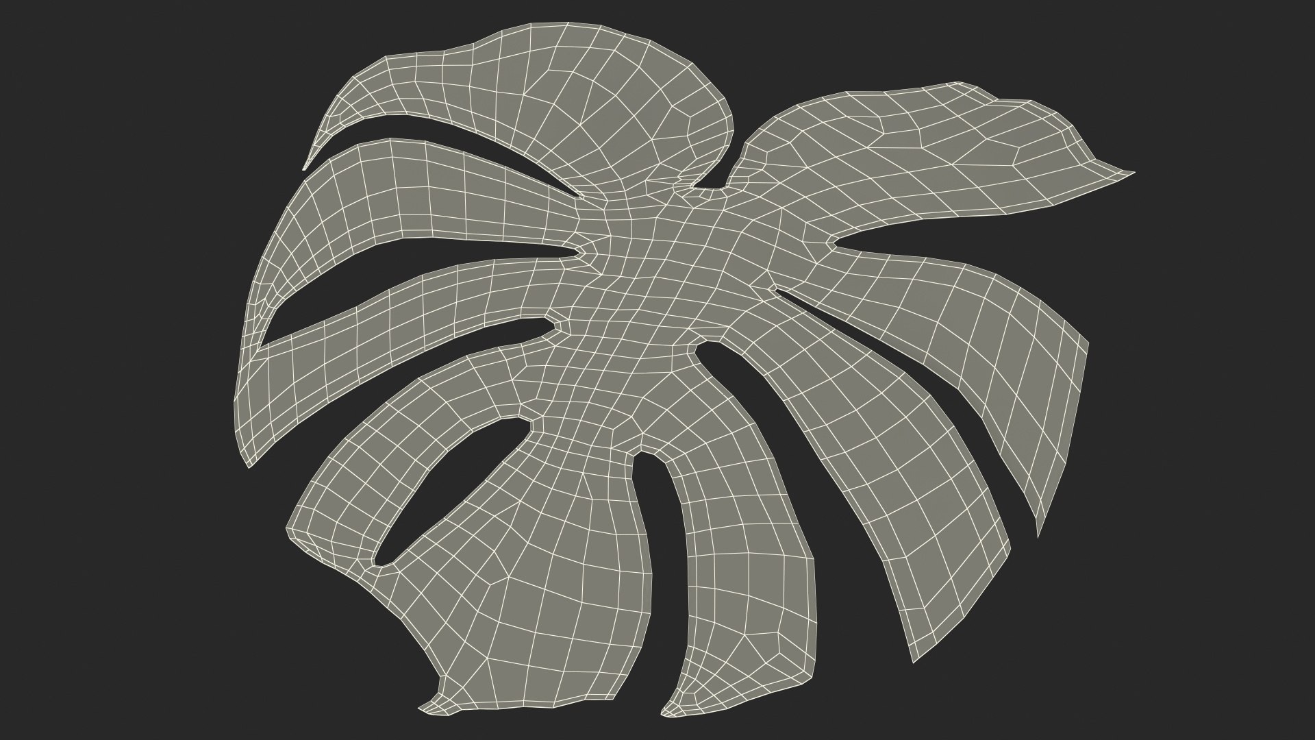 monstera deliciosa leaf 3D model https://p.turbosquid.com/ts-thumb/9T/QnHDmK/E0g06leF/monsteradeliciosaleafc4dmodel021/jpg/1588222240/1920x1080/fit_q87/6813cae1cf95730568d65503513217b608549321/monsteradeliciosaleafc4dmodel021.jpg