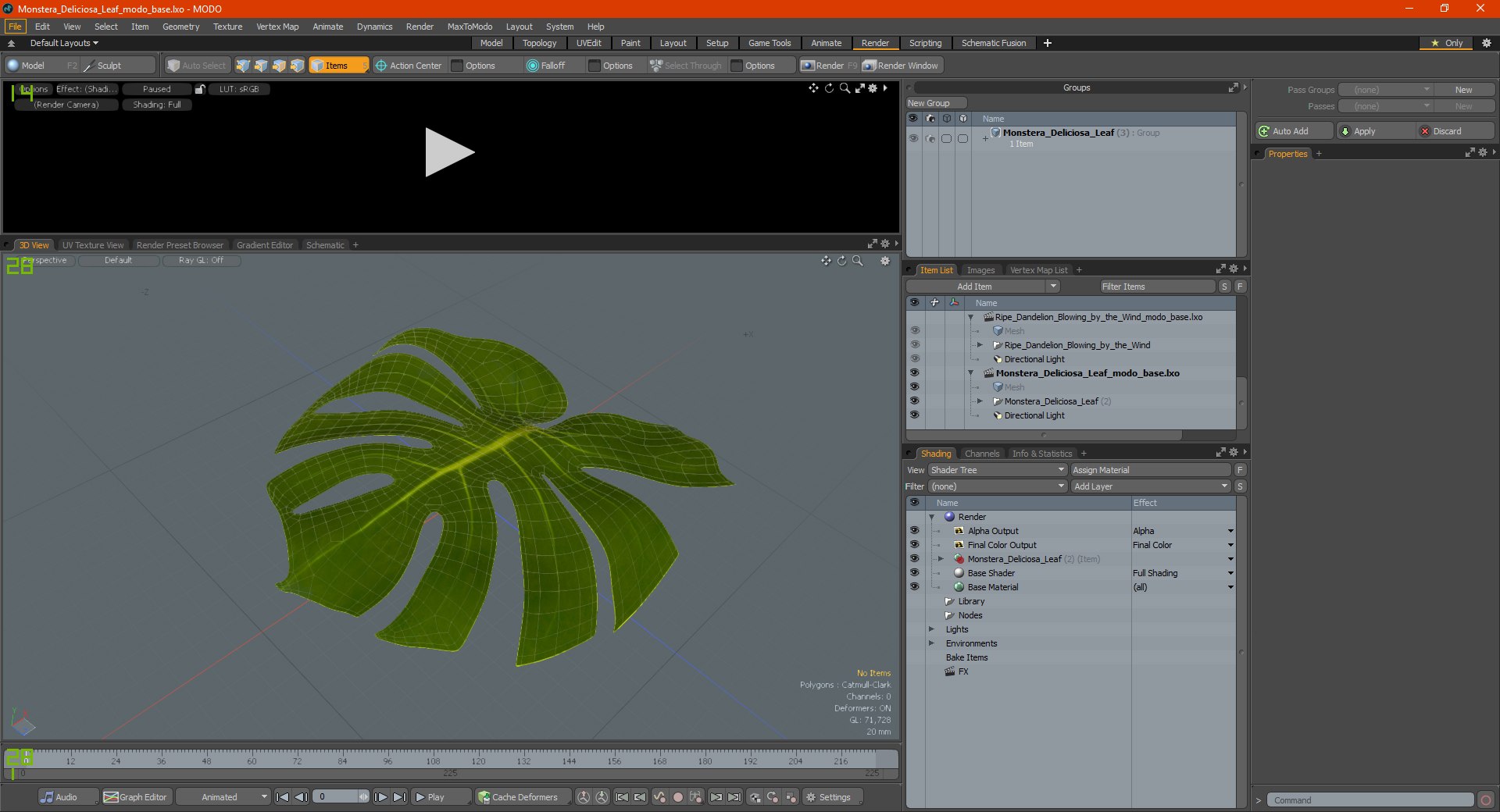 monstera deliciosa leaf 3D model https://p.turbosquid.com/ts-thumb/9T/QnHDmK/TfDpPn7X/monsteradeliciosaleafc4dmodel020/jpg/1588222233/1920x1080/fit_q87/627dd3277839e819b7a9a88d61635396d7295702/monsteradeliciosaleafc4dmodel020.jpg