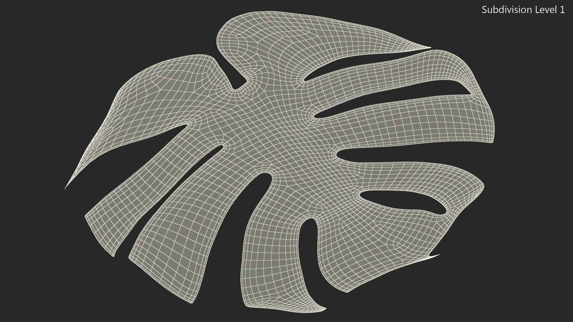 monstera deliciosa leaf 3D model https://p.turbosquid.com/ts-thumb/9T/QnHDmK/V3f2C1Vr/monsteradeliciosaleafc4dmodel013/jpg/1588222184/1920x1080/fit_q87/50dc441a86501a38a83287f9d3ee789a3047e181/monsteradeliciosaleafc4dmodel013.jpg