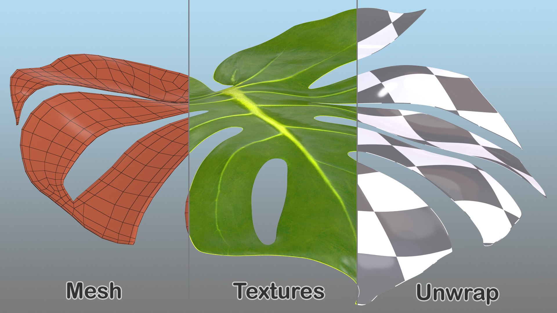 monstera deliciosa leaf 3D model https://p.turbosquid.com/ts-thumb/9T/QnHDmK/sAOhJwPa/monsteradeliciosaleafc4dmodel011/jpg/1588222170/1920x1080/fit_q87/47e91959297ad7438f529955a59bd98947f5bf28/monsteradeliciosaleafc4dmodel011.jpg