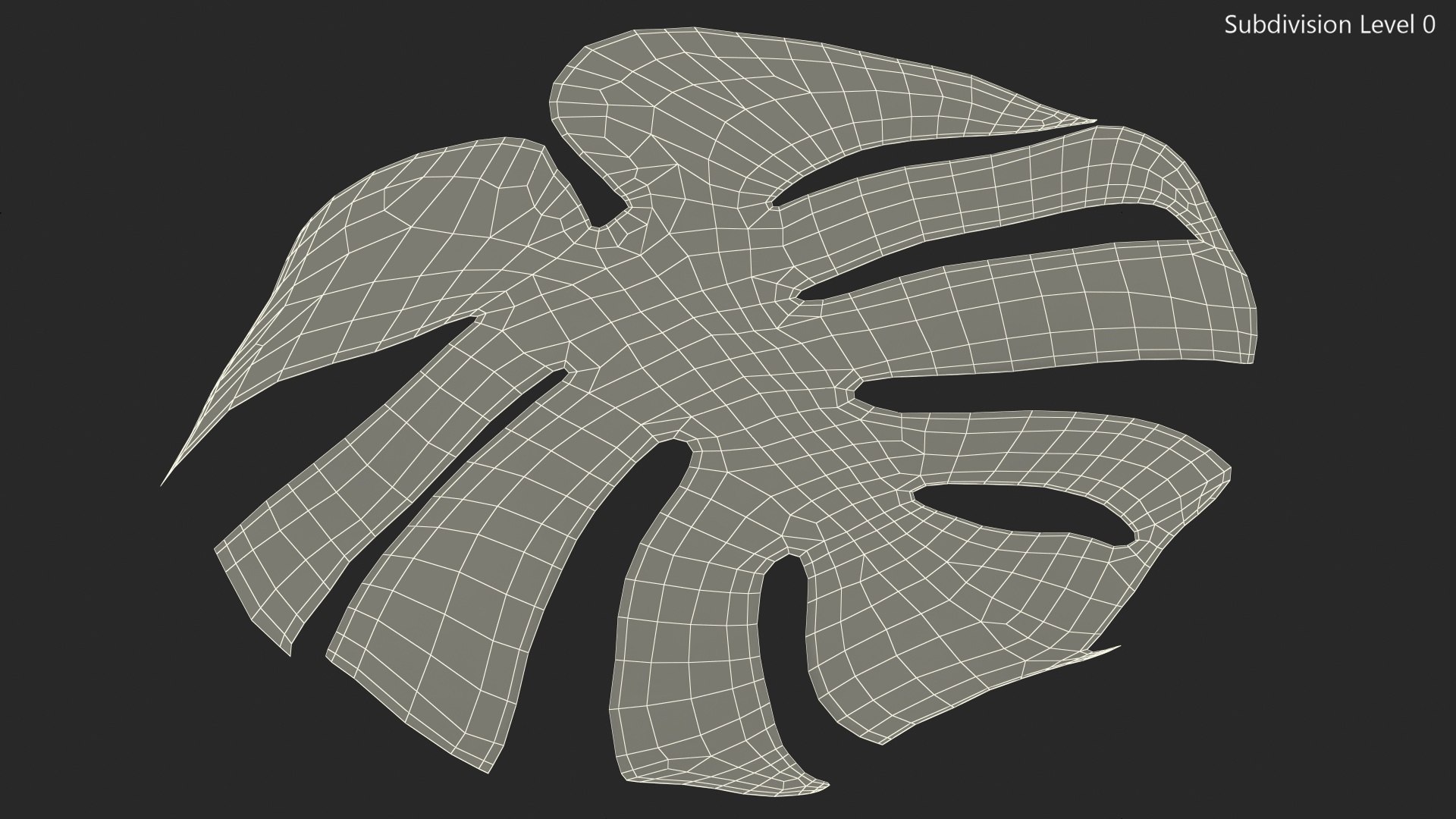 monstera deliciosa leaf 3D model https://p.turbosquid.com/ts-thumb/9T/QnHDmK/yvnTBh9l/monsteradeliciosaleafc4dmodel012/jpg/1588222178/1920x1080/fit_q87/3b2727e5c25f257e42796ad3e0bf853e39e3cfd4/monsteradeliciosaleafc4dmodel012.jpg