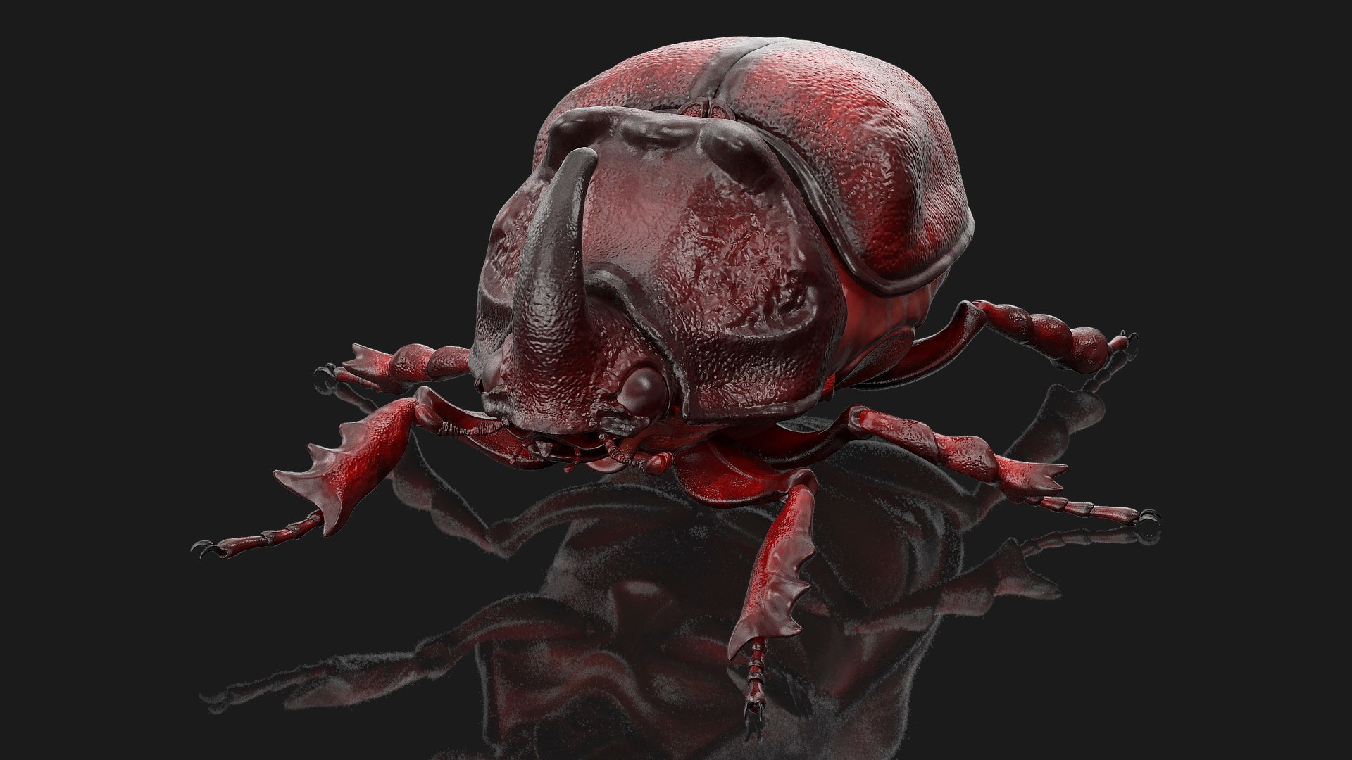 Oryctes Nasicornis Rhinoceros Beetle Standing 3D model preview