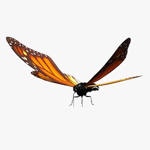 butterfly monarch rigged 3D model