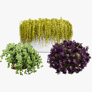 3D Verdant Variety Pack