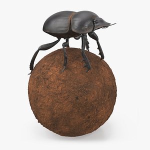 3D Scarabs on Sphere Dirt