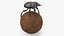 3D Scarabs on Sphere Dirt