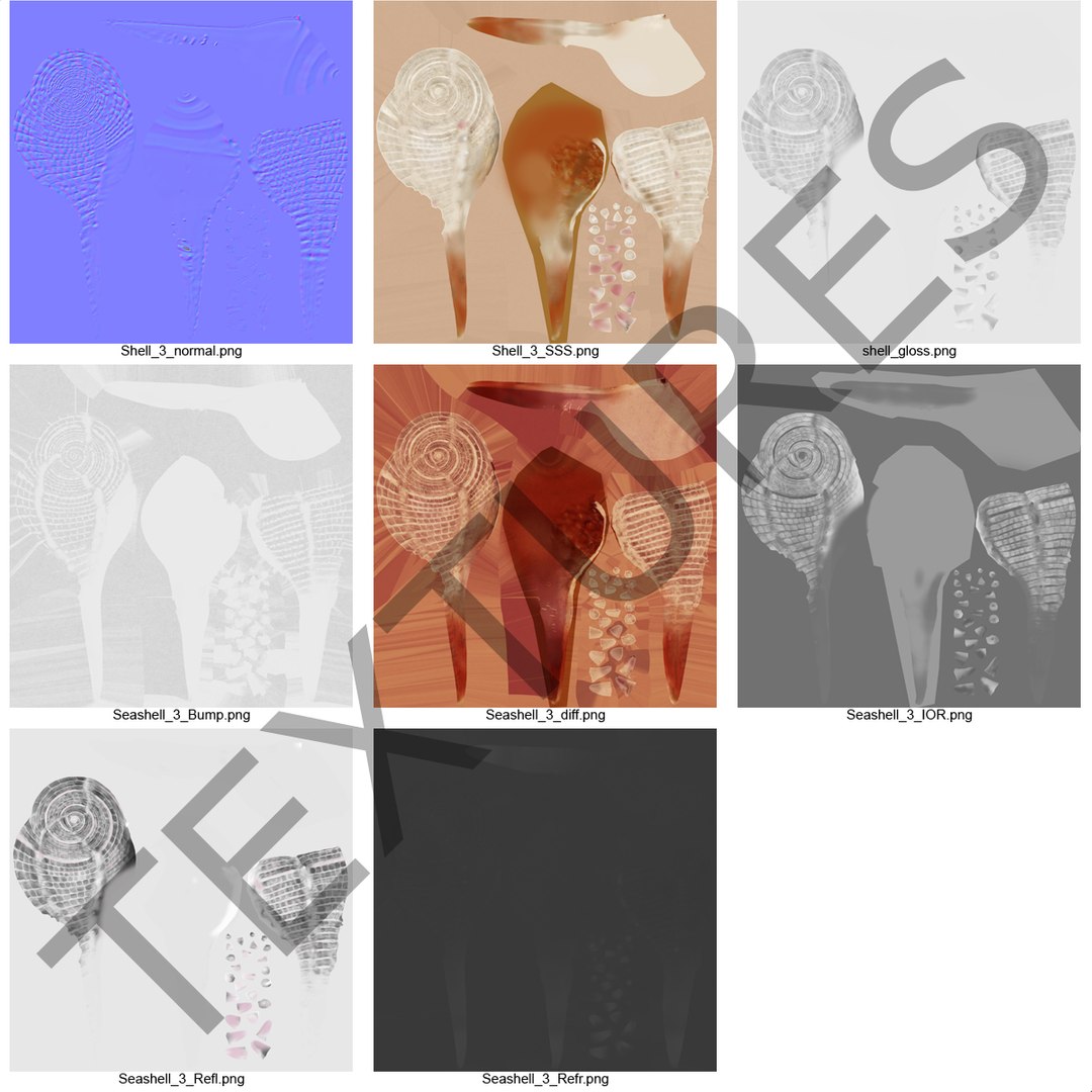 3d seashell 3 https://p.turbosquid.com/ts-thumb/9U/Nv9dVx/7W07RF9L/seashell3dmodel17/jpg/1465554607/1920x1080/fit_q87/50be7762a97f47b2915409e28e75a312ab851cb4/seashell3dmodel17.jpg