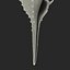 Model 3D Seashell 3