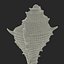 Model 3D Seashell 3