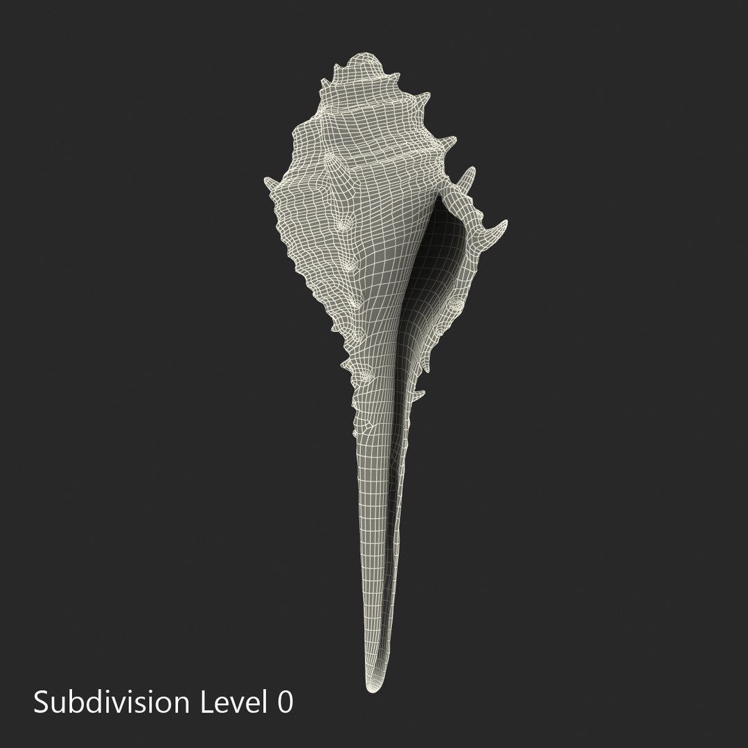 3d seashell 3 https://p.turbosquid.com/ts-thumb/9U/Nv9dVx/Pm7tBa6J/seashell3dmodel14/jpg/1465554607/1920x1080/fit_q87/c2bc20d8d0a43bf03ce7e53c826837a11640e772/seashell3dmodel14.jpg